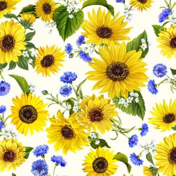 (2809)Sunflower Garden White/Sunflower Sunrise(0188)