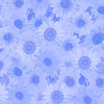 (505)Sunflower Sunrise/Sunflower Tonal light Blue(0188)