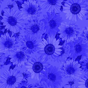 (552)Sunflower Sunrise/Sunflower Tonal Royal Blue(0188)
