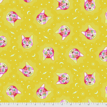 Curiouser & Curiouser TP(164 Wonder)