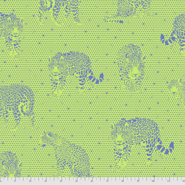 Freespirit Fabrics Tula Pink Daydreamer 174 Kiwi in Daydream