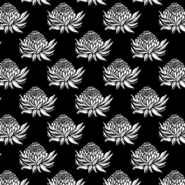 (11)Great Southern Land/ White Black Background(1008)